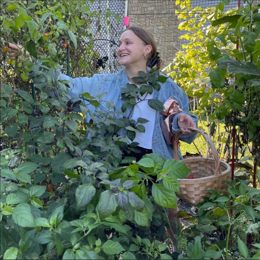 Meet your Posher, Rachel